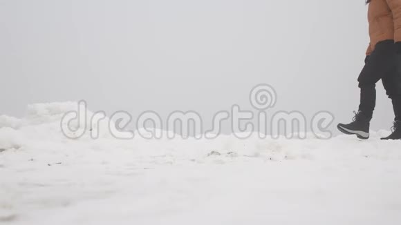 人们在冰上行走视频的预览图