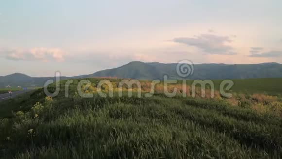 夏天美丽的绿色山谷草地在风中摇曳视频的预览图