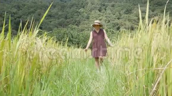 泰国北部一个被群山环绕的金色丘陵地带一名妇女走过视频的预览图