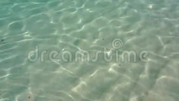在海滩上放松暑假田园风光纯蓝色的海水为您的设计提供简单的纹理视频的预览图