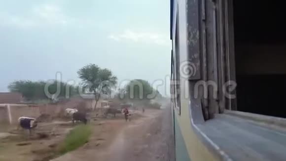 从巴基斯坦铁路快速运行列车的窗口看旁遮普省的动物和村民视频的预览图