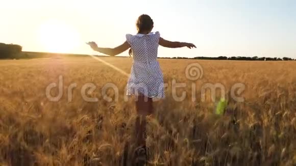 快乐的小女孩正在一片成熟的麦田里飞翔在夕阳的背景下慢悠悠地飞翔视频的预览图