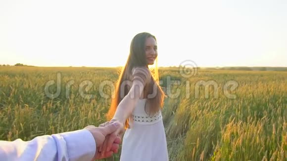 跟我来幸福的一对夫妇牵着手在金色的麦田里奔跑在户外玩得很开心一对夫妇在草地上散步视频的预览图
