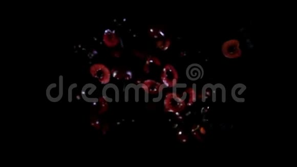 整块和半块樱桃和水飞到相机上视频的预览图