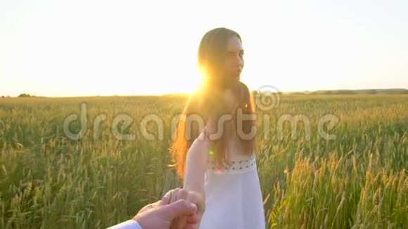 跟我来幸福的一对夫妇牵着手在金色的麦田里奔跑在户外玩得很开心一对夫妇在草地上散步视频的预览图