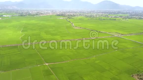 鸟瞰稻田和山体景观从空中俯瞰村庄和山脉的绿色水稻种植园视频的预览图