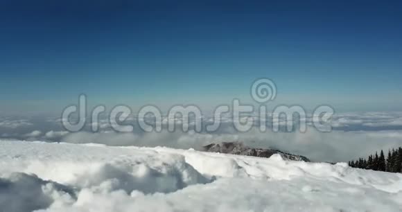 雪云松树的全景雪晶是可见的视频的预览图