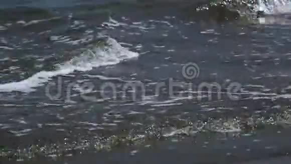 阳光下水面上的软波视频的预览图