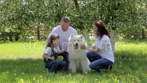 一家三口人正和一只大狗坐在公园里视频的预览图