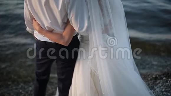 新娘和新郎站在水的背景上轻轻地握住手视频的预览图