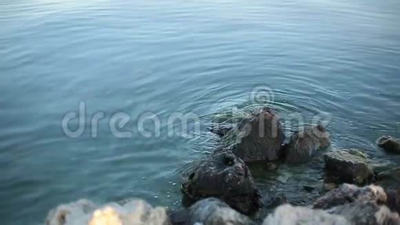 石头在水中平静在大海上慢动作视频的预览图