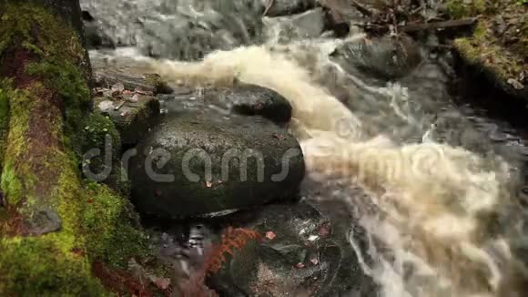 水流落在石头上视频的预览图