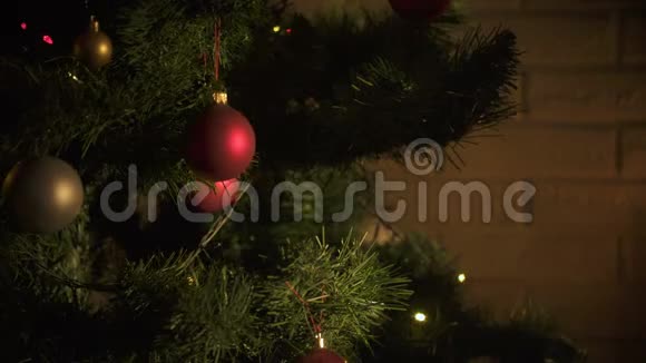 小女孩在圣诞树上挂球节日前装饰传统视频的预览图