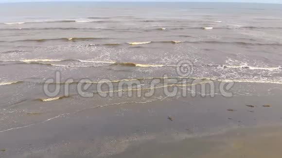 波浪缓慢地向岸边移动海鸥飞过海浪视频的预览图