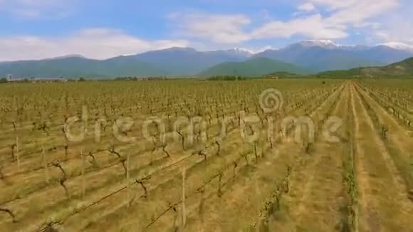 佐治亚州阿拉扎尼谷葡萄酒业务和出口葡萄品种鸟瞰图视频的预览图