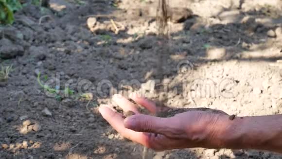 园丁用手在地上准备土壤视频的预览图
