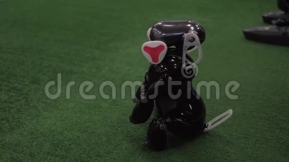 编程玩具狗机器人互动智能宠物视频的预览图