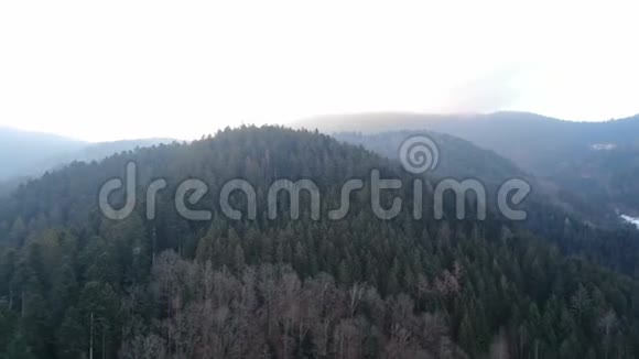 美丽的山上覆盖着树木惊人的空中拍摄4k视频的预览图