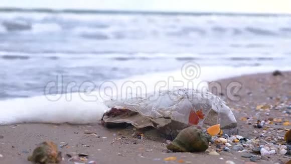 拉潘贝壳中的塑料瓶被带到沙质海岸的岸边视频的预览图