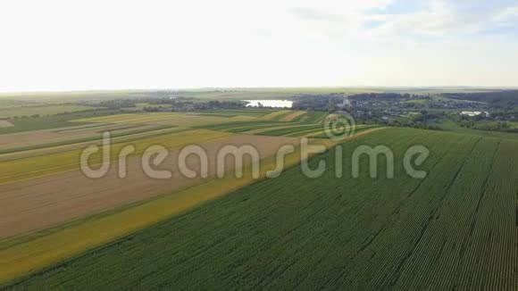 绿色田野全景上面的鸟瞰图4K视频的预览图