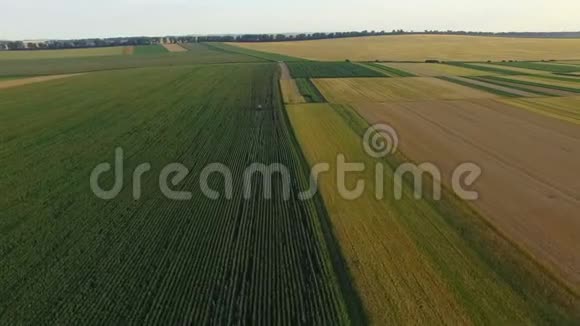 拖拉机喷洒麦田的鸟瞰图4K视频的预览图