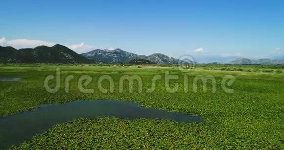 在阳光明媚的日子里在山上鸟瞰斯卡达尔湖的景观黑山湖的领地视频的预览图