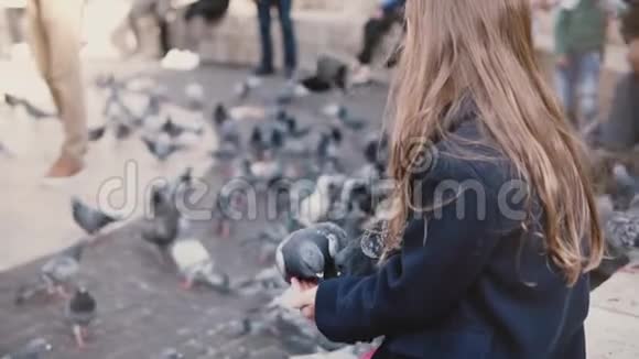 鸟儿试图从小女孩的手上吃东西慢动作孩子用胳膊喂两只鸽子一群在后面视频的预览图
