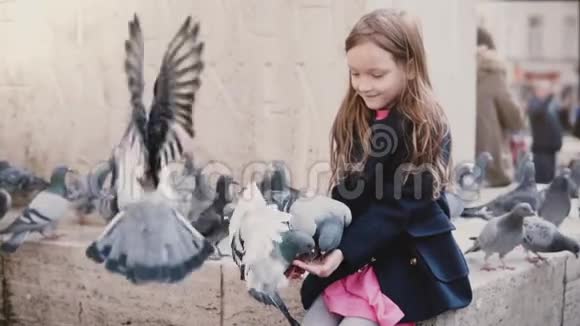 几只鸽子从小女孩手吃慢动作快乐的女孩子在她的怀里喂城市鸟善良视频的预览图