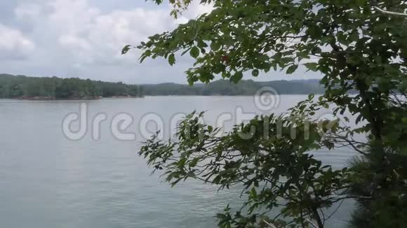 佐治亚州卡特湖从卡特湖的远岸向外缩小视频的预览图