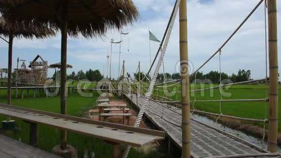 泰国Ayutthaya农村稻田景观木桥视频的预览图