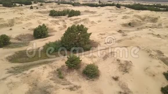 空中沙漠和一棵松视频的预览图