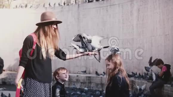 妈妈和两个孩子用手喂鸽子鸟儿坐在幸福的女人手上吃东西慢动作家庭度假视频的预览图