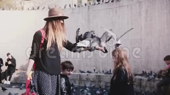 母亲和兄弟姐妹用手喂鸽子很有趣鸟儿坐在女人手上女孩头上慢动作有趣的时刻视频的预览图