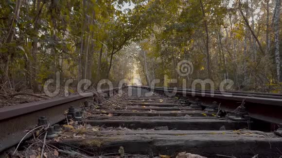 德国柏林森林中废弃的铁路轨道视频的预览图