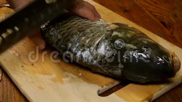 河鱼鲤鱼正切成片用菜刀进行后续煎炸在砧板上放菜桌视频的预览图