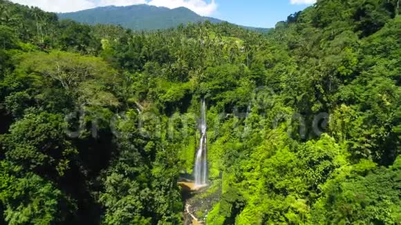 丛林中浪漫的塞库普尔瀑布视频的预览图