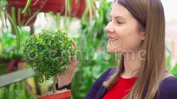 花店里一位年轻女子手里拿着一棵绿树女性顾客采摘花草视频的预览图