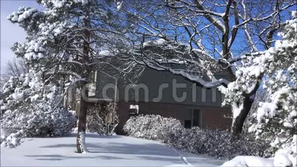 加拿大南部城市公园下了大雪视频的预览图