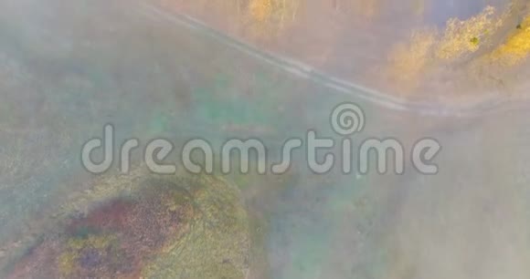 乌克兰晨雾和金色树木下的河流鸟瞰图视频的预览图
