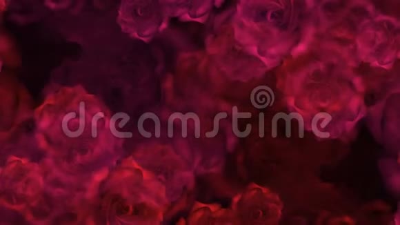 婚礼录像背景上的红玫瑰花蕾视频的预览图
