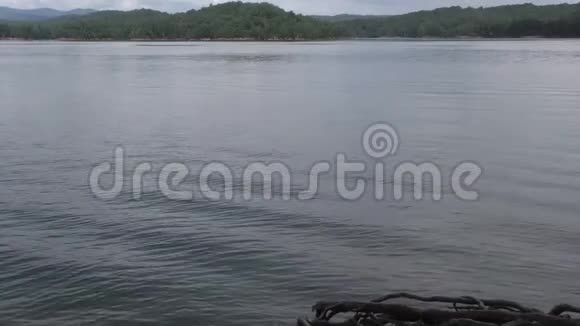 乔治娅卡特湖卡特湖上的涟漪视频的预览图
