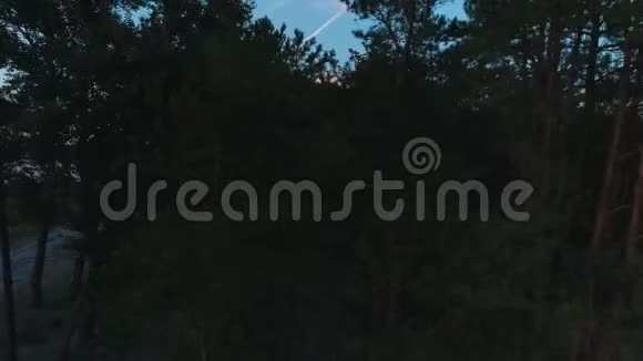 空中无人机镜头日落时分在湖边的森林中升起视频的预览图
