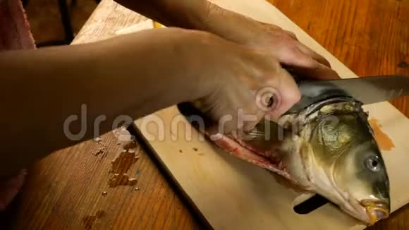 河鱼鲤鱼正切成片用菜刀进行后续煎炸在砧板上放菜桌视频的预览图
