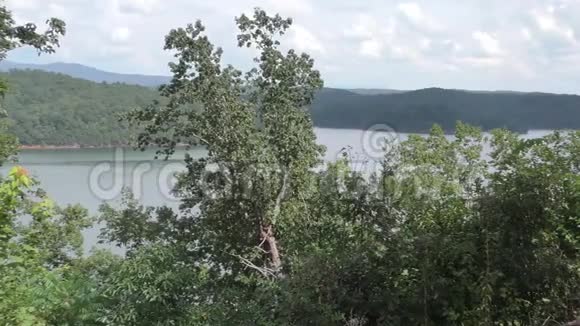 乔治亚州卡特湖卡特湖对面的一个平底锅和前景中的树木视频的预览图