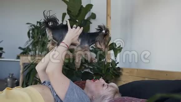 一个年轻的金发女人微笑着和她的狗玩约克郡梗在一个快乐女孩的手中的床上视频的预览图