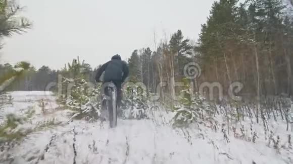 专业的极限运动员骑自行车酷骑胖自行车在户外穿过一棵松树人类视频的预览图
