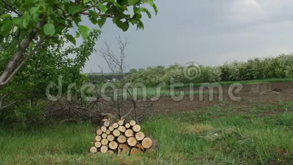 4块木头在田中央远距离视野视频的预览图
