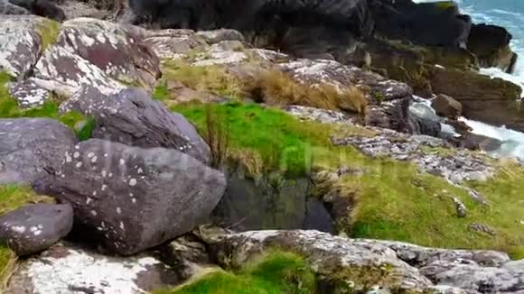 晴天的爱尔兰海岸视频的预览图