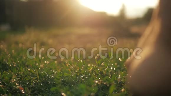 去夕阳下角腿光着脚在草地上踏着夕阳旅行者概念视频的预览图