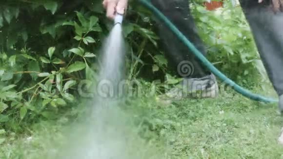 给花园浇水的人视频的预览图